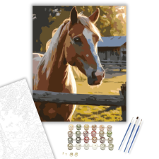 Számfestő.hu Palomino Ló a Hajnalban - számfestő készlet – 40×50 cm (Keretre feszítve) kreatív és készségfejlesztő