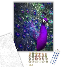 Számfestő.hu Páva szépség - számfestő készlet – 40×50 cm (Keretre feszítve) kreatív és készségfejlesztő