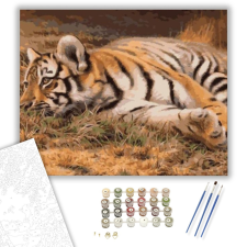 Számfestő.hu Pihenő tigris - számfestő készlet – 40×50 cm (Keretre feszítve) kreatív és készségfejlesztő