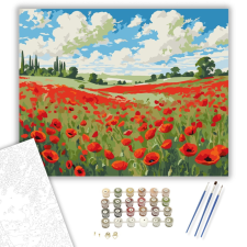 Számfestő.hu Pipacsmező Felhős Égbolt Alatt - számfestő készlet – 40×50 cm (Keretre feszítve) kreatív és készségfejlesztő