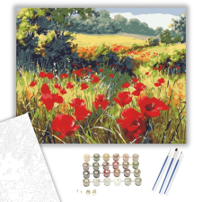 Számfestő.hu Pipacsok a Réten - számfestő készlet – 40×50 cm (Keretre feszítve) kreatív és készségfejlesztő