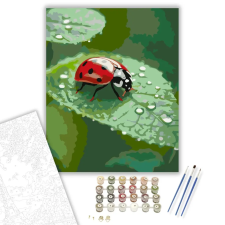 Számfestő.hu Piros Katicabogár Harmatos Levélen - számfestő készlet – 80×100 cm (Keret nélkül) kreatív és készségfejlesztő