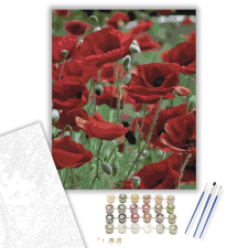 Számfestő.hu Piros vadvirágok - számfestő készlet – 40×50 cm (Keretre feszítve) kreatív és készségfejlesztő