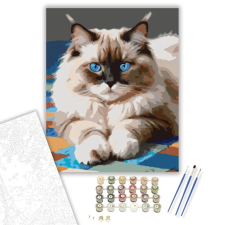 Számfestő.hu Ragdoll Macska Kék Szemekkel - számfestő készlet – 80×100 cm (Keret nélkül) kreatív és készségfejlesztő