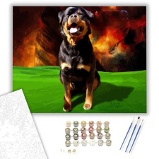 Számfestő.hu Rottweiler - számfestő készlet – 40×50 cm (Keretre feszítve) kreatív és készségfejlesztő