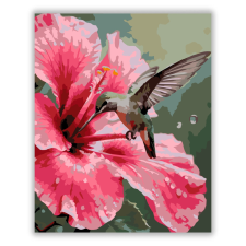 Számfestő.hu Rózsaszín Hibiszkusz és Kolibri - számfestő készlet kreatív és készségfejlesztő