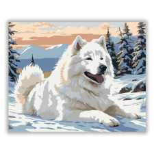 Számfestő.hu Samoyed a Havas Tájon - számfestő készlet kreatív és készségfejlesztő