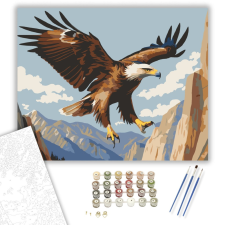Számfestő.hu Sas a Hegyek Felett - számfestő készlet – 40×50 cm (Keretre feszítve) kreatív és készségfejlesztő