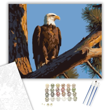 Számfestő.hu Sas a Magas Fenyőn - számfestő készlet – 80×100 cm (Keretre feszítve) kreatív és készségfejlesztő