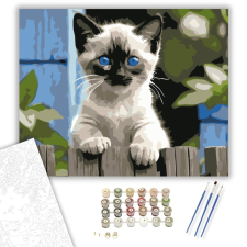 Számfestő.hu Sziámi Kiscica a Kerítésen - számfestő készlet – 40×50 cm (Keretre feszítve) kreatív és készségfejlesztő