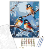 Számfestő.hu Színes Madarak a Fagyos Ágon - számfestő készlet – 40×50 cm (Keretre feszítve)