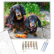 Számfestő.hu Tacskók - számfestő készlet – 40×50 cm (Keretre feszítve) kreatív és készségfejlesztő