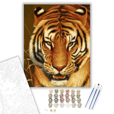 Számfestő.hu Tigris tekintet - számfestő készlet – 40×50 cm (Keretre feszítve) kreatív és készségfejlesztő