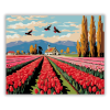 Számfestő.hu Tulipánok Tánca - számfestő készlet