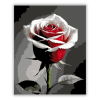 Számfestő.hu Vörös és Fehér Rózsa - számfestő készlet