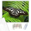 Számfestő.hu Zebra Csíkos Pillangó Páfrányon - számfestő készlet – 60×70 cm (Keret nélkül)