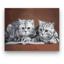 Számfestő Olvasó cicák - számfestő készlet kreatív és készségfejlesztő