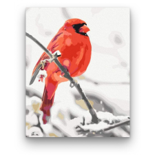 Számfestő Piros Madár - számfestő készlet kreatív és készségfejlesztő