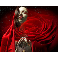 Számfestő Piros Rózsa - vászonkép grafika, keretezett kép
