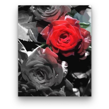 Számfestő Szürke-piros rózsa - számfestő készlet kreatív és készségfejlesztő