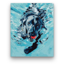 Számfestő Úszó kutyus - számfestő készlet kreatív és készségfejlesztő