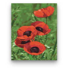 Számfestő Vadvirág - számfestő készlet kreatív és készségfejlesztő