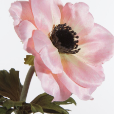  Szellőrózsa művirág 390 Világos rózsaszín dekoráció