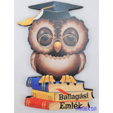  Szemüveges kalapos bagoly könyveken tábla - Feliratos dekorációs kellék