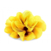 Szifon virág 80 mm - Sárga
