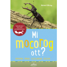 Sziget Könyvkiadó Mi mocorog ott? - Rovarok, pókok, százlábúak, ászkák gyermek- és ifjúsági könyv