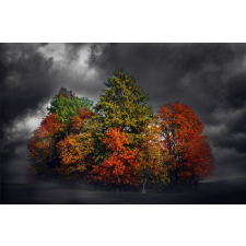  Színes folt öntapadós tapéta, 250 x 150 cm tapéta, díszléc és más dekoráció