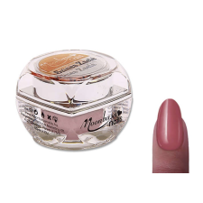 Színes zselé 5ml #069 Pasztell bordó műköröm zselé