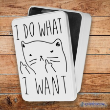 Szupicuccok I do what - cicás fém szendvicsdoboz (tároló doboz) uzsonnás doboz