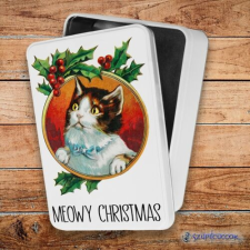 Szupicuccok Meowy Christmas fém szendvicsdoboz (tároló doboz) uzsonnás doboz
