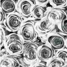  Szürke fehér rózsák öntapadós tapéta 45cmx2m tapéta, díszléc és más dekoráció
