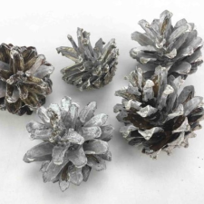  Szürke havas toboz nagy 5db/ csomag dekorációs kellék