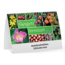  T058 Gyógyító természet álló asztali naptár naptár, kalendárium