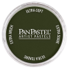 Talens PanPastel tégelyes porpasztell - 660.3, chromium oxide green shade
