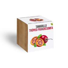  Tamarillo - Trópusi paradicsomfa - növényem fa kaspóban fa és növény