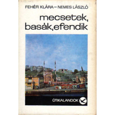 TÁNCSICS KIADÓ Mecsetek, basák, efendik antikvárium - használt könyv