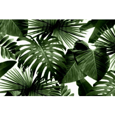  Tapéta Absztrakt levelek, 300 x 250 cm tapéta, díszléc és más dekoráció