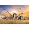  Tapéta Állatok az afrikai szavannáról, 300 x 250 cm