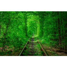  Tapéta Forest10, 350 x 200 cm tapéta, díszléc és más dekoráció