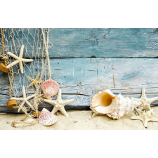  Tapéta Háló csillagokkal2, 300 x 200 cm tapéta, díszléc és más dekoráció