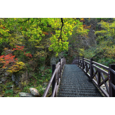  Tapéta Híd a természetbe, 300 x 200 cm tapéta, díszléc és más dekoráció