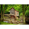  Tapéta Malom az erdőből, 300 x 200 cm