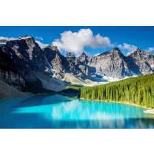  Tapéta Natura33, 300 x 200 cm tapéta, díszléc és más dekoráció