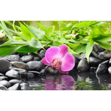  Tapéta Orchideák bambusszal, 300 x 250 cm tapéta, díszléc és más dekoráció