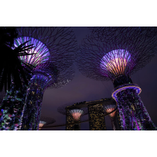  Tapéta Park Singapore 2, 300 x 200 cm tapéta, díszléc és más dekoráció