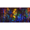  Tapéta Szivárvány az erdőben, 300 x 250 cm